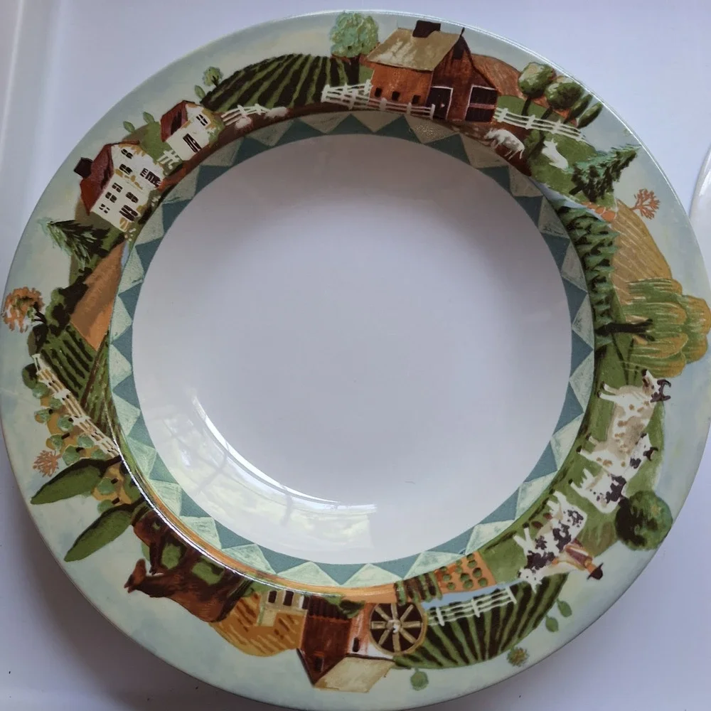 2 Farberware By Retroneu Country Life Rimmed Soup Bowls 9